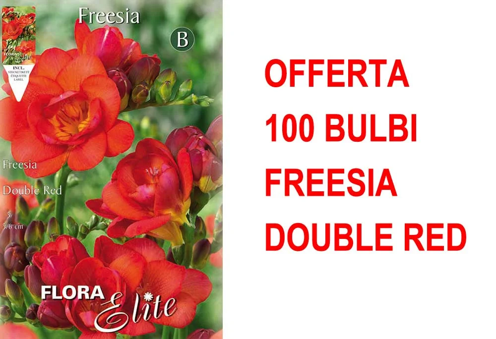 peragashop23589526