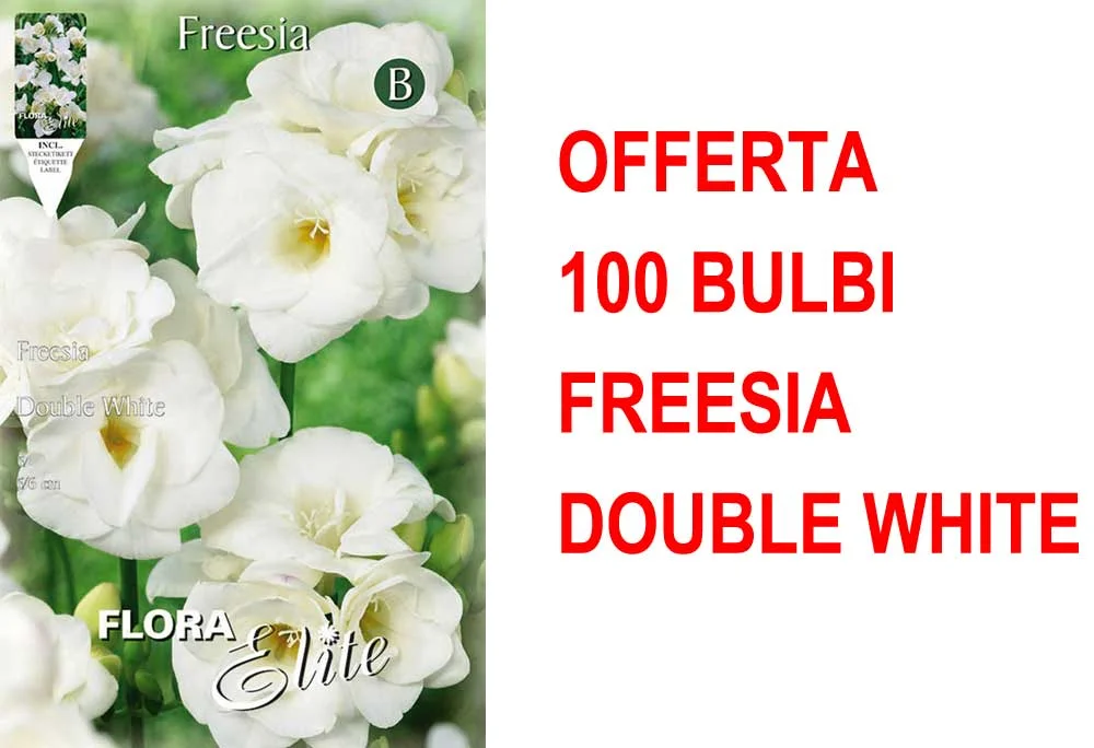 peragashop23589530
