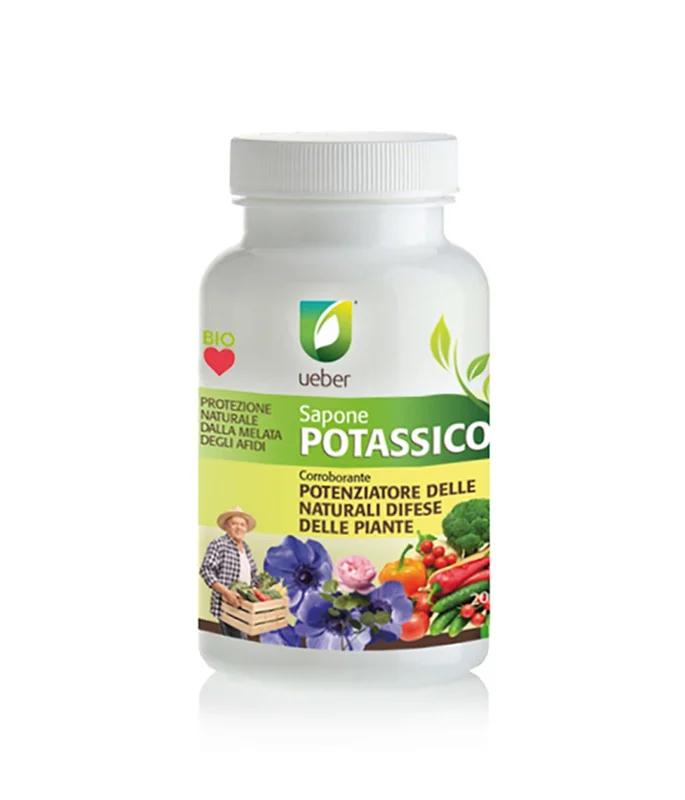 peragashop23792611