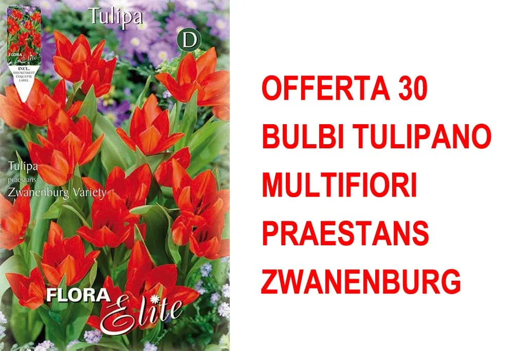 peragashop33446119