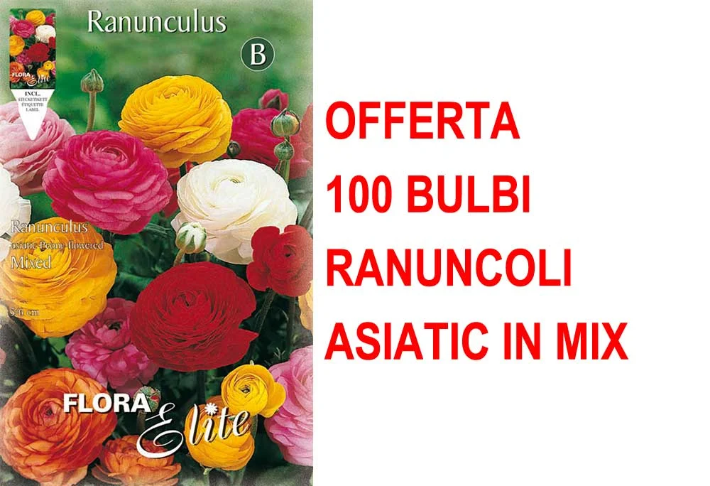 peragashop33446207
