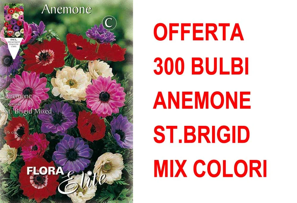 peragashop33447898