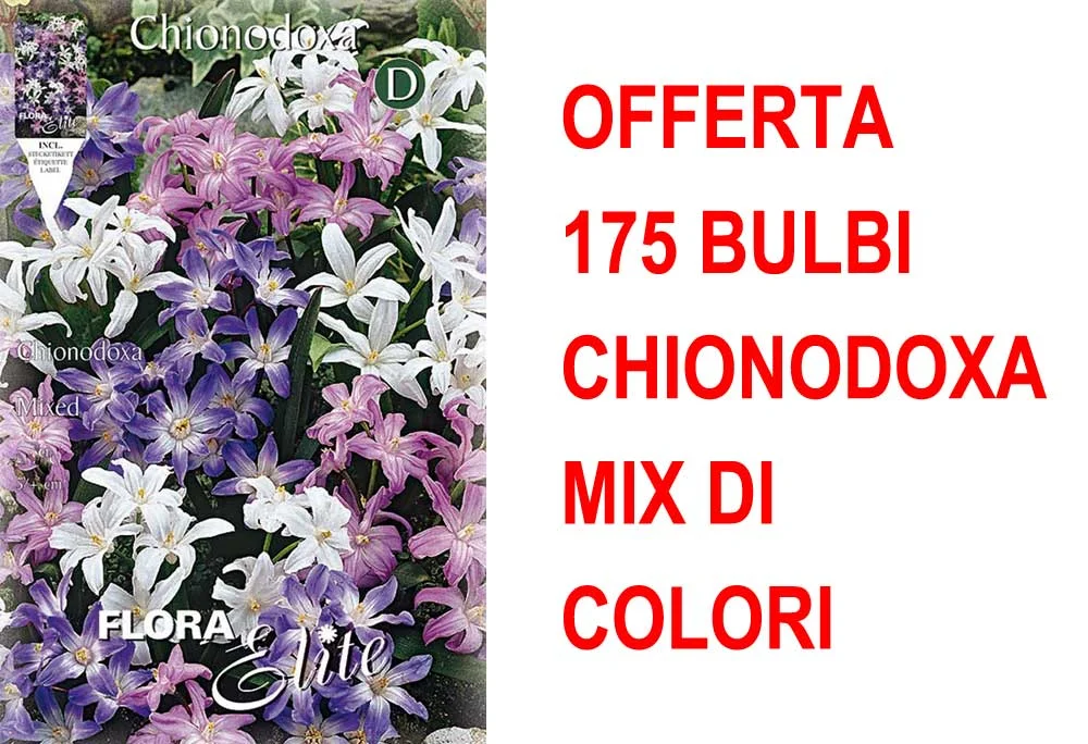 peragashop33447976