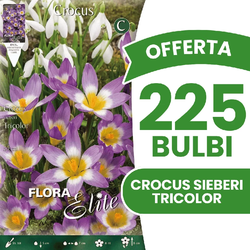 peragashop33448166