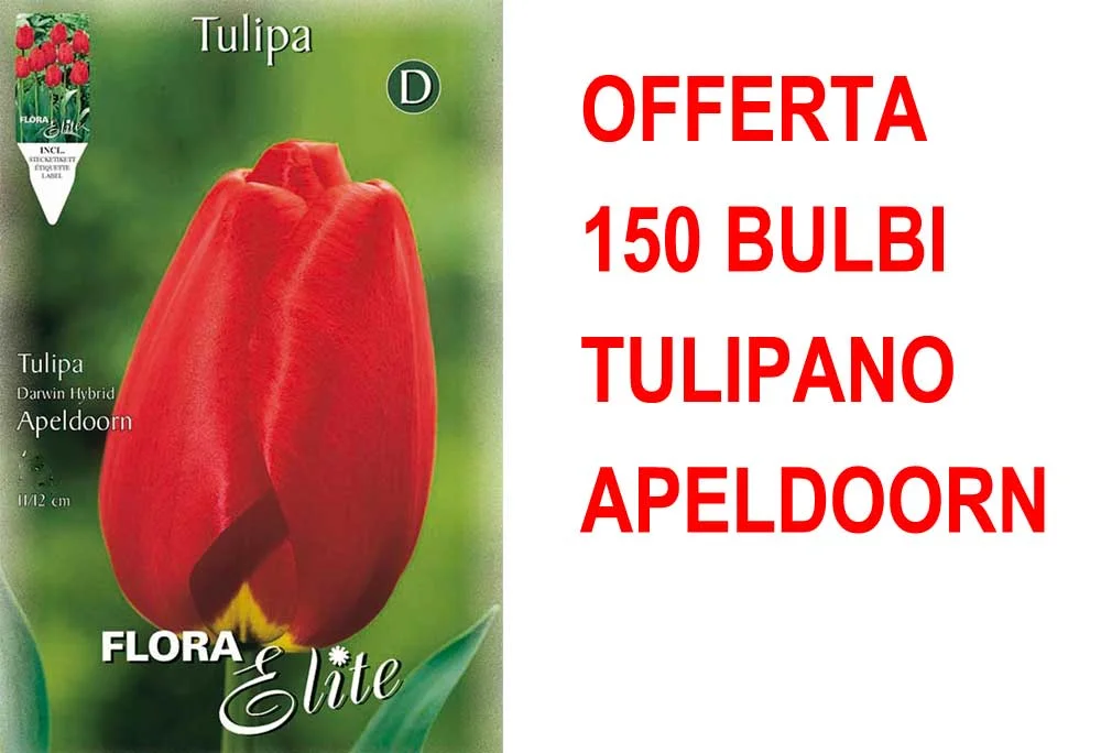 peragashop33448699
