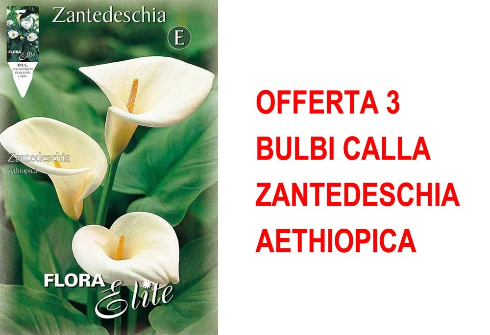 peragashop33450726