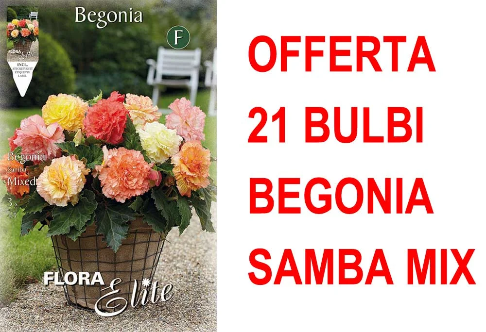 peragashop33457513