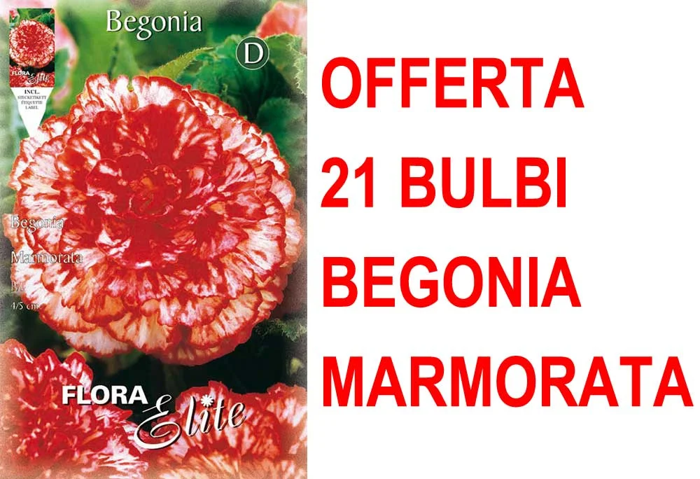 peragashop33457921