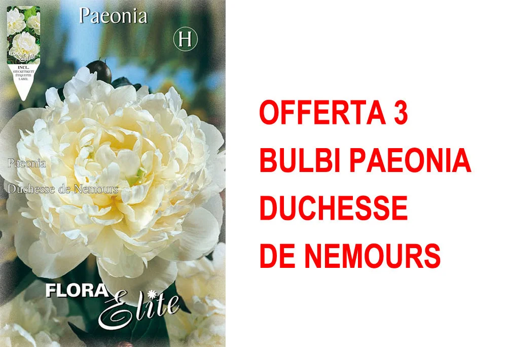 peragashop33460871