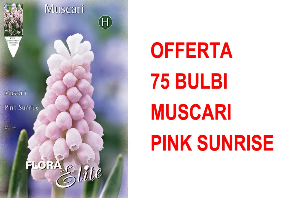 peragashop33471050