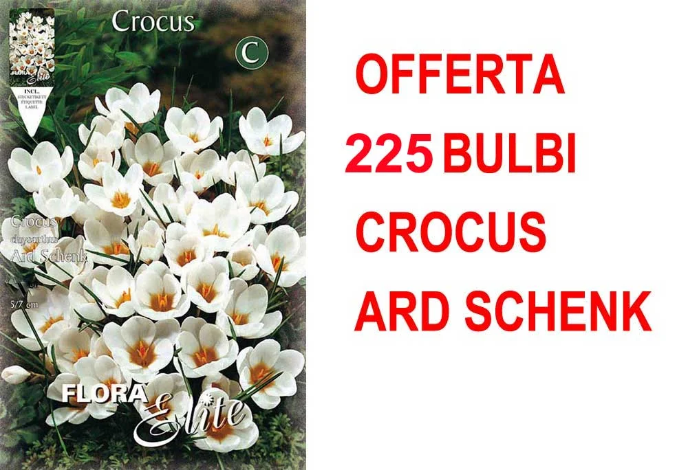 peragashop33483798