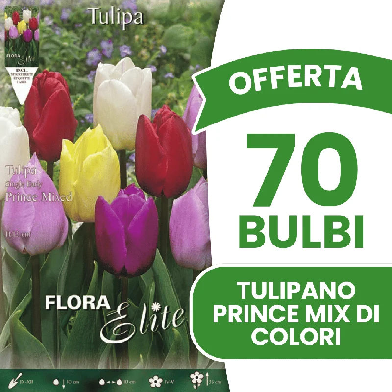peragashop33483838