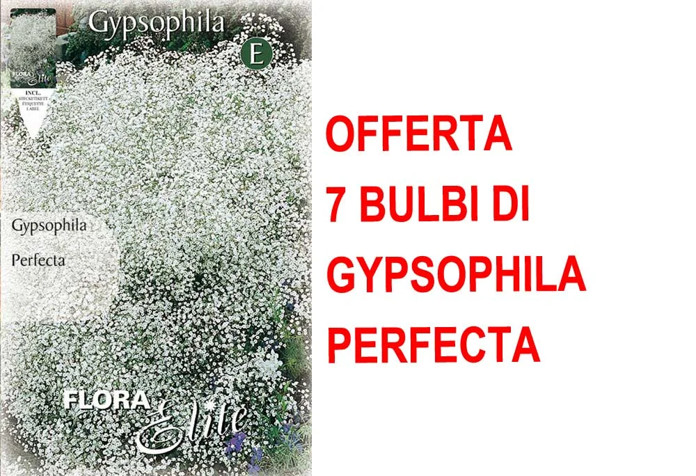 peragashop33484920