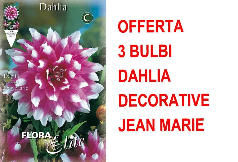 peragashop33485344
