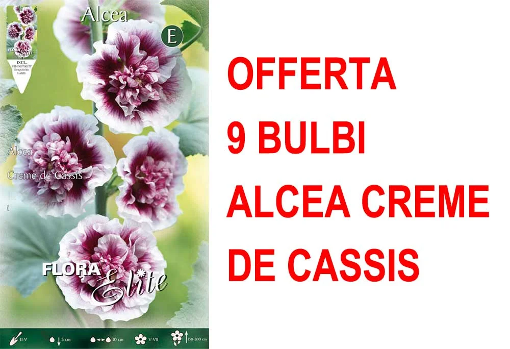 peragashop33530087
