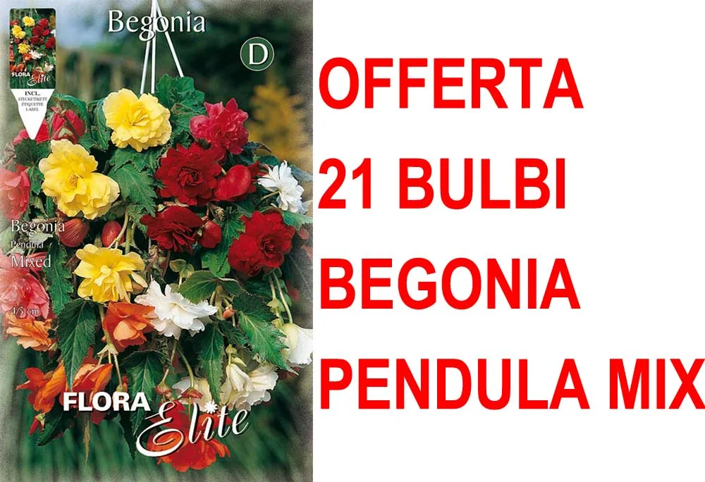 peragashop33530490