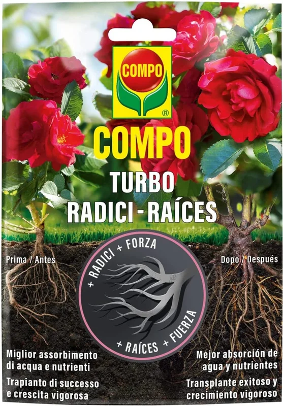 peragashop33553798