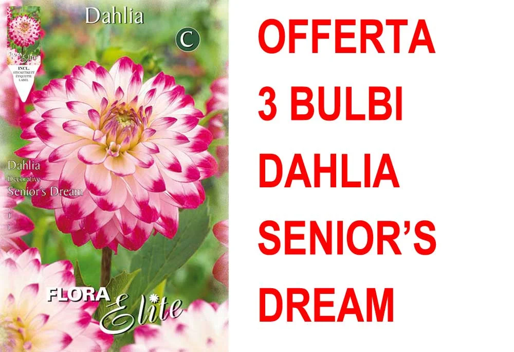 peragashop33591522
