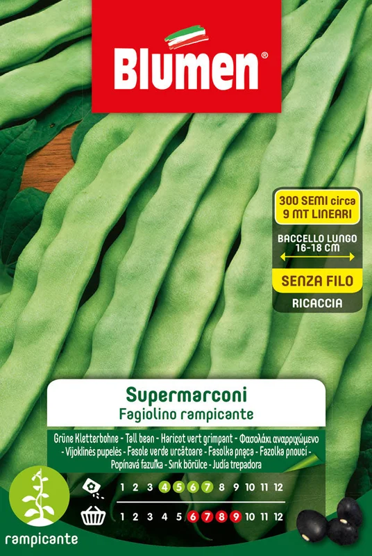 peragashop33594555