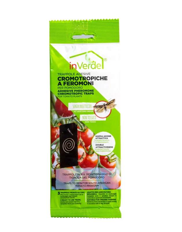 peragashop33800033