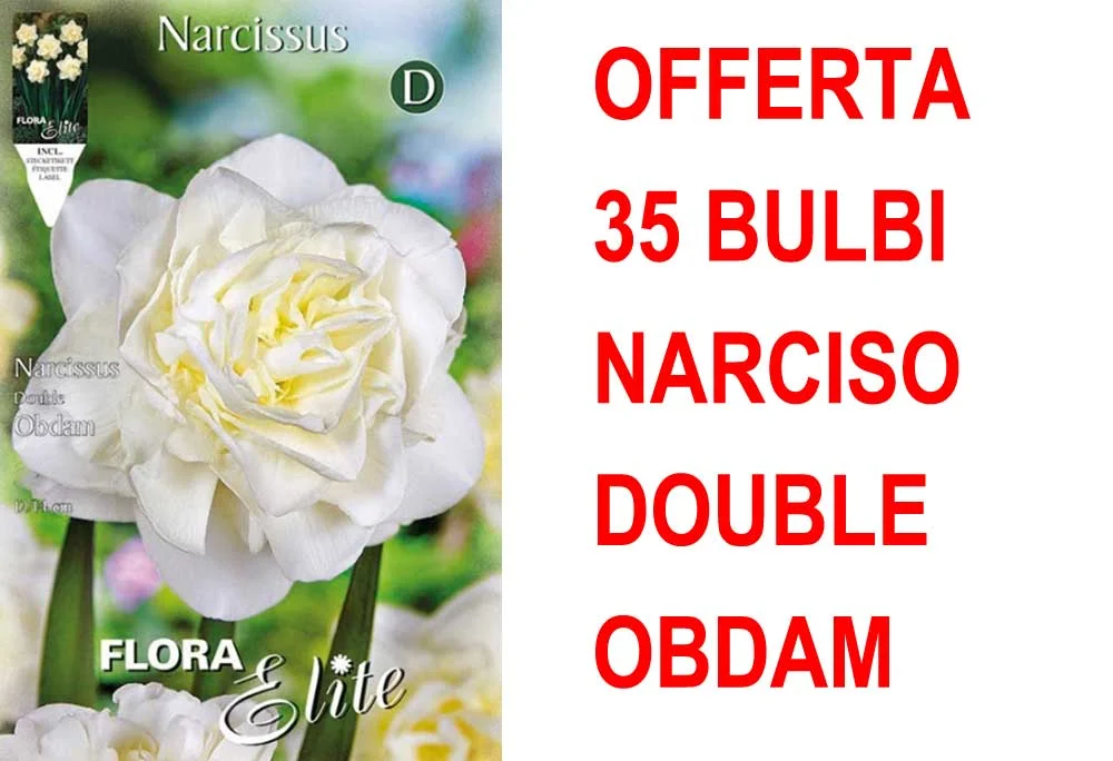 peragashop33814455