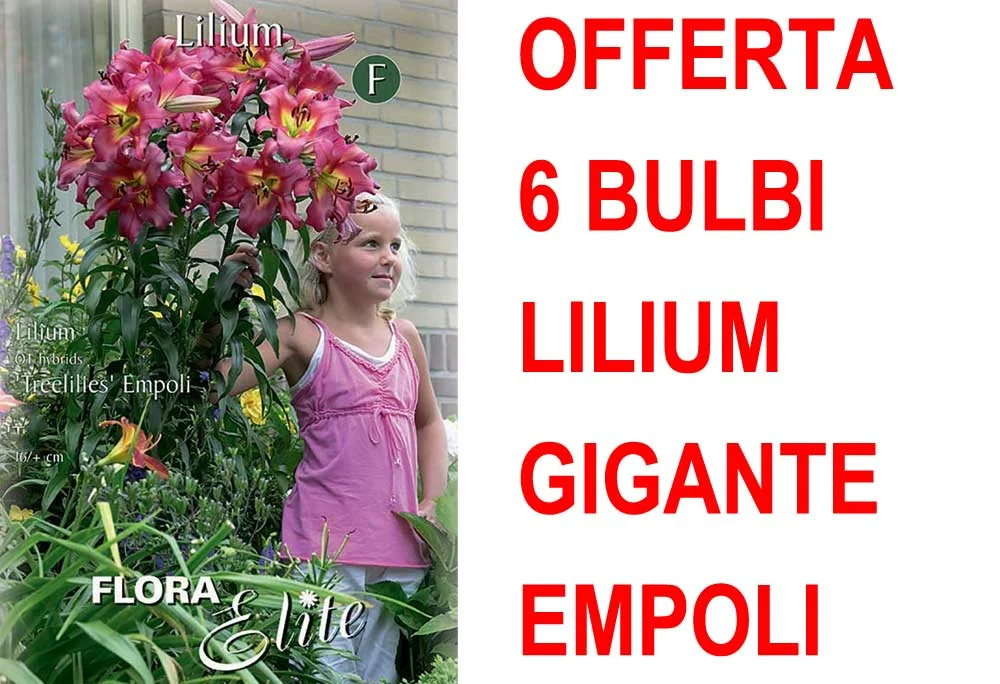 peragashop33866046