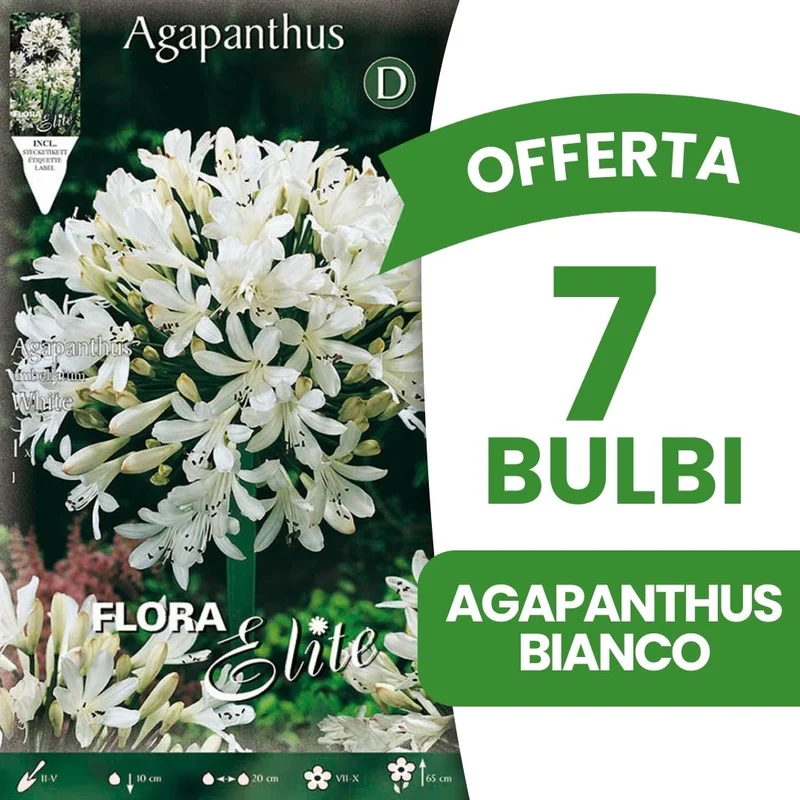 peragashop43479879
