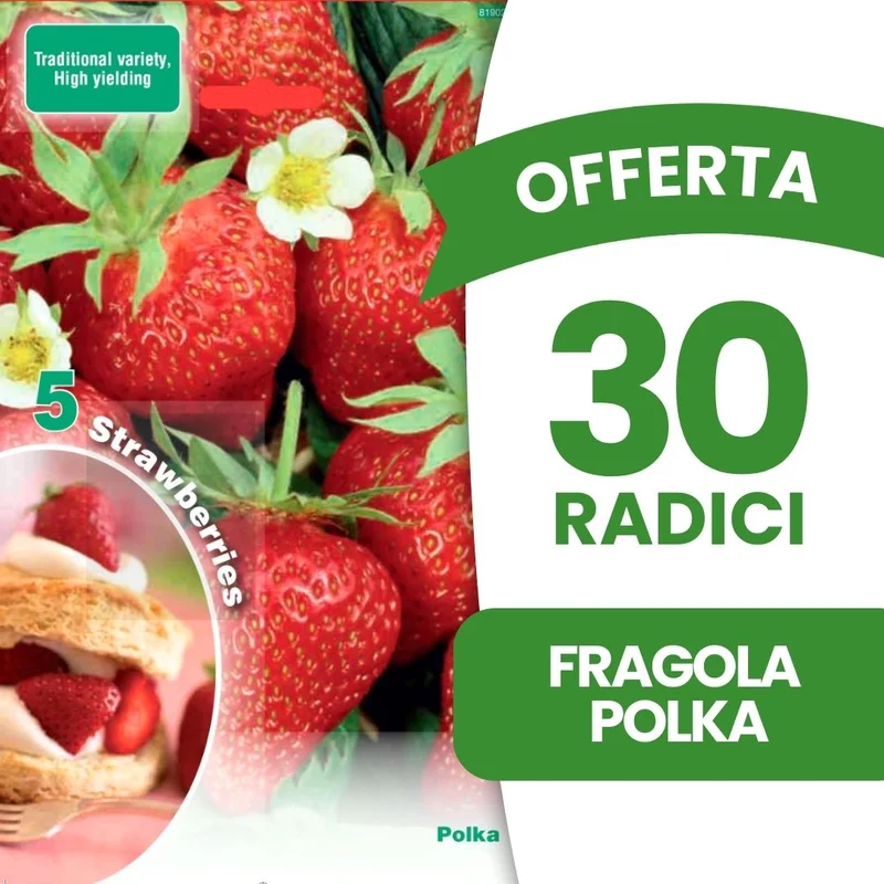 peragashop43480109