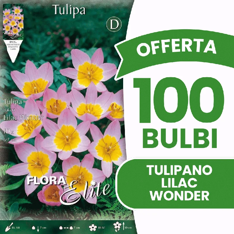 peragashop43571022