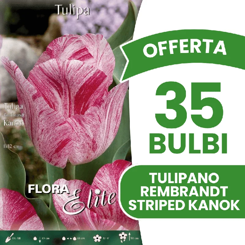 peragashop43571153