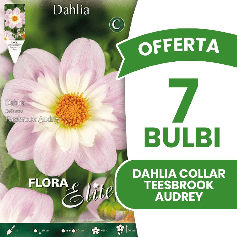 peragashop43575745