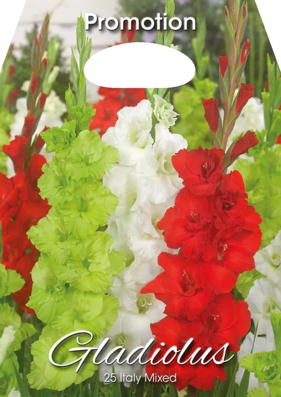peragashop43840974