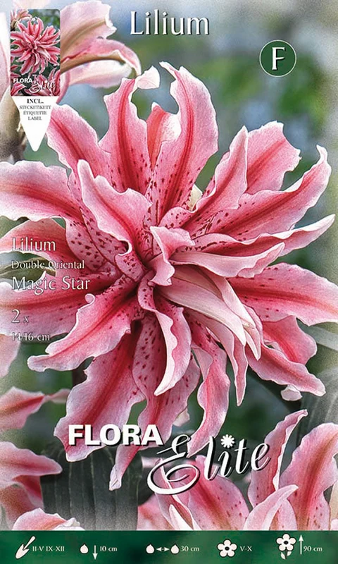 peragashop43841123