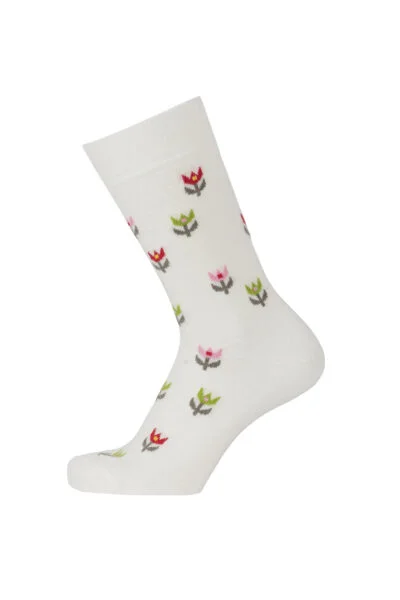 scantex-shop-3499912