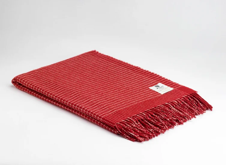 scantex-shop-3503176
