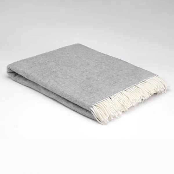scantex-shop-3503223
