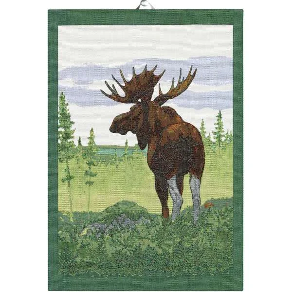scantex-shop-3504567