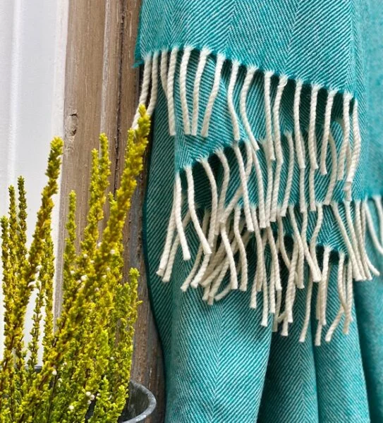 scantex-shop-3506640